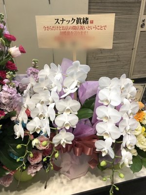 お花💐 - 画像10