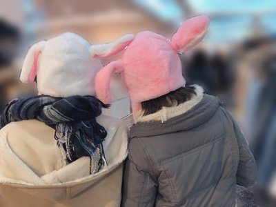うさ耳ぴょんぴょん丸 - 画像3