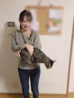 愛猫のこたまくんです - 画像4