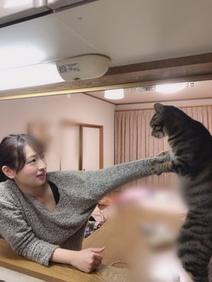 愛猫のこたまくんです - 画像5