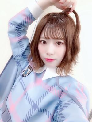 ALL LIVE NIPPONのサムネイル