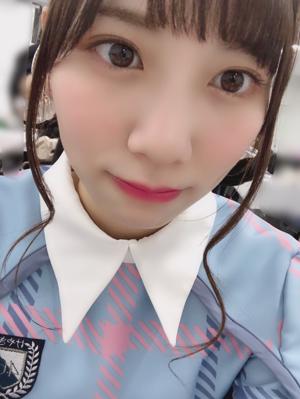 近いシリーズのサムネイル