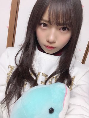 いるかちゃん - 画像1