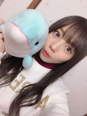 いるかちゃん - 画像2