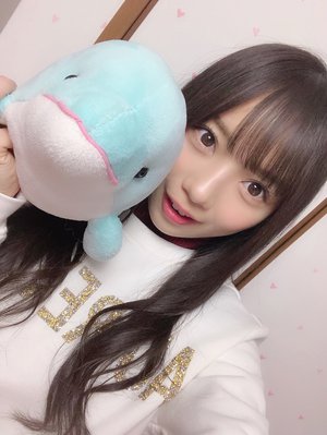 いるかちゃん - 画像3