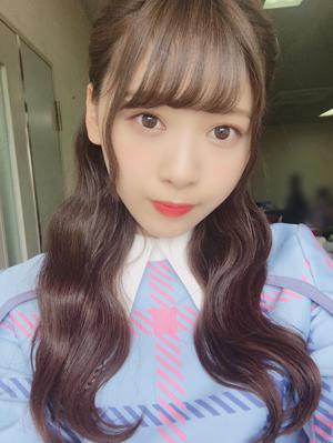 ドライヤーで私の髪の毛を乾かすのとお風呂上がりの犬を乾かすのどっちが早いかな〜のサムネイル