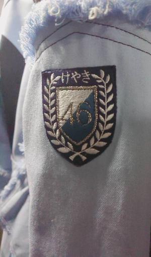 日向坂46デビューカウントダウンライブin横浜アリーナのサムネイル