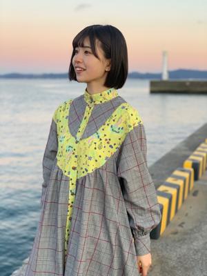 ときめき草の花が咲いたよのサムネイル