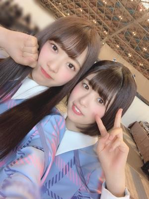 🌻🌺🌼🌸🌷のサムネイル