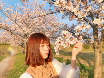 🌸さくら🌸のサムネイル