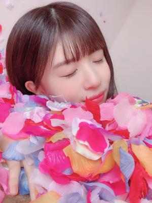 4万6000枚の花びらのサムネイル