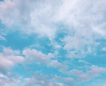 青天の霹靂のサムネイル