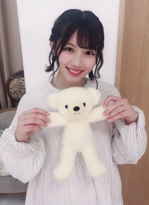 私はくまが好きなのだ🧸のサムネイル