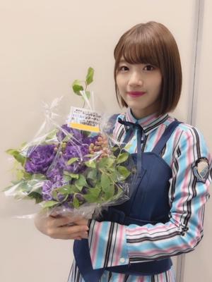 フラワー⸜🌷︎⸝‍パート2✌🏻️のサムネイル