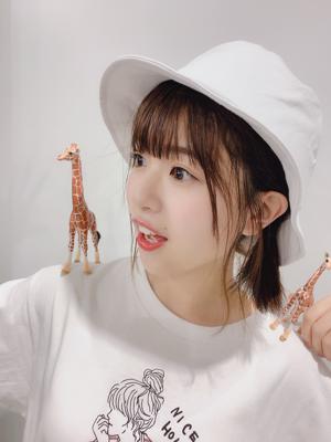 フェス！のサムネイル