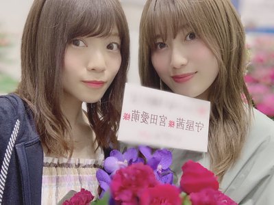 上下編という訳ではないけれど(上) - 画像5