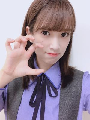 鷲のサムネイル