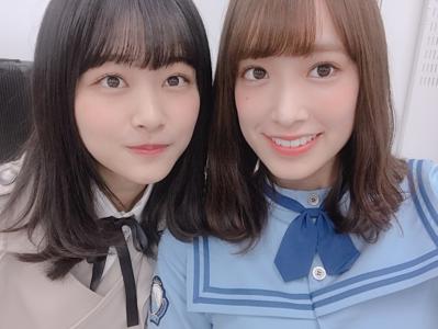 アメンボのサムネイル