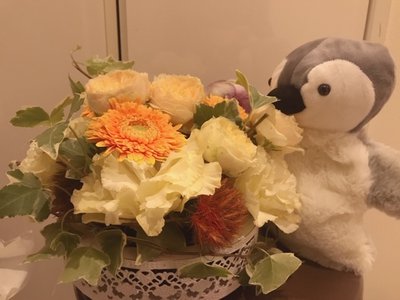 こいしさやみなみるみなみやさしいこ🐧💓 - 画像4