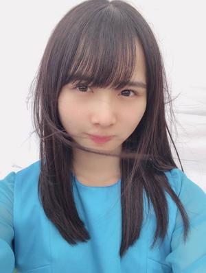 強い花のサムネイル