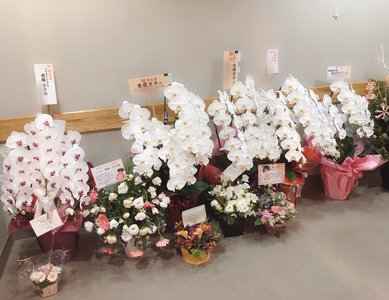 舞台サザエさん博多座公演千穐楽 - 画像4