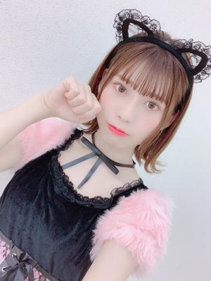 🐈のサムネイル