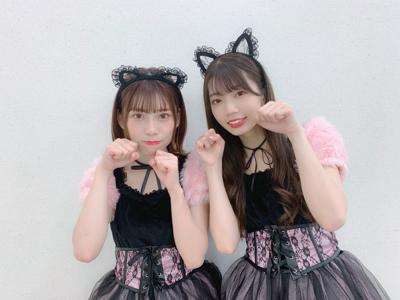 🐈 - 画像2