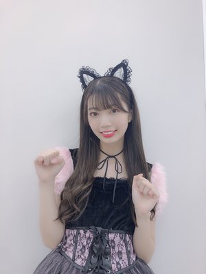 🐱 - 画像5