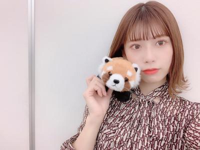 🐻のサムネイル