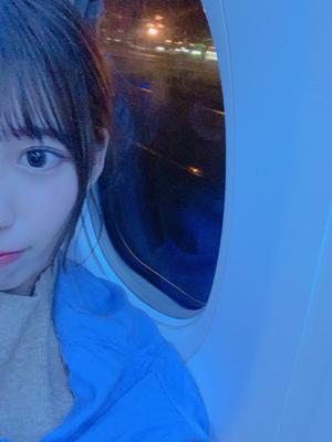 ✈️ - 画像3
