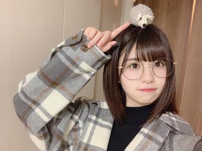 寒いけど日差しは暖かいのサムネイル