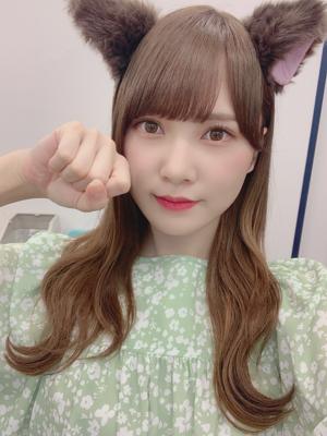 としねこ🐱(・ω・)のサムネイル