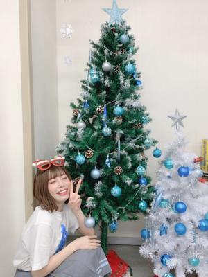 🎄 - 画像4
