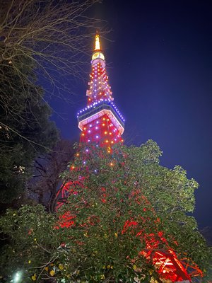 うぃお〜✨ - 画像10