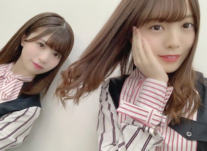 梅とすももとアプリコットのサムネイル