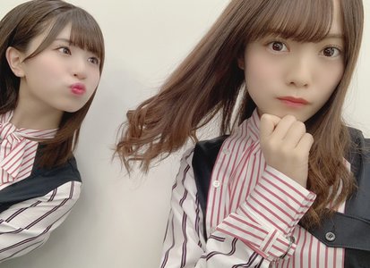 梅とすももとアプリコット - 画像2
