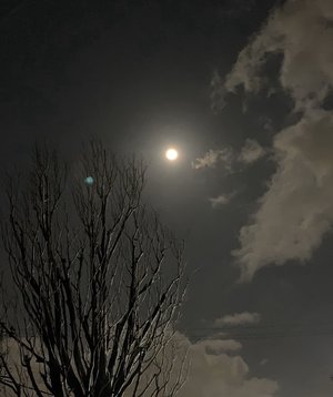 止まない雨はない。 - 画像1