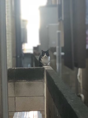 今、私と目が合いましたね︎☺︎ - 画像2