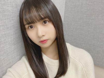 タケニグサのサムネイル