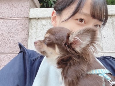 しかられる - 画像2