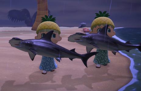 ふわりのサムネイル
