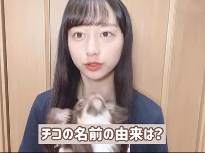 めっさ - 画像1