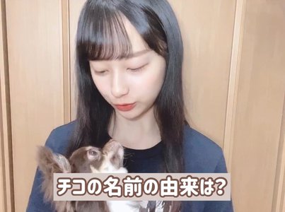 めっさ - 画像2