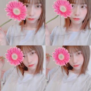 🌷のサムネイル