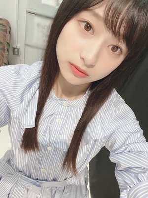たぬき - 画像1