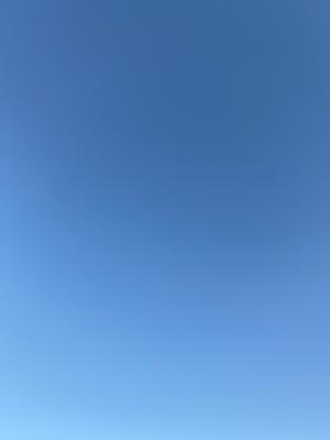 んま - 画像2