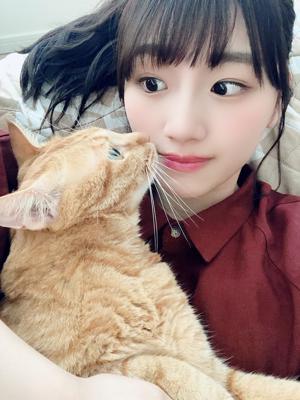 見てにゃ〜🐈のサムネイル