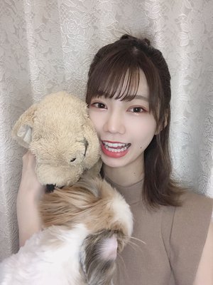 どうぶつ🐶 - 画像2