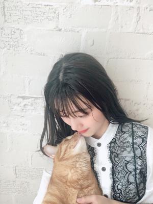 🐱またまた🐶のサムネイル