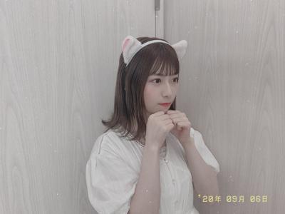 🐱のサムネイル